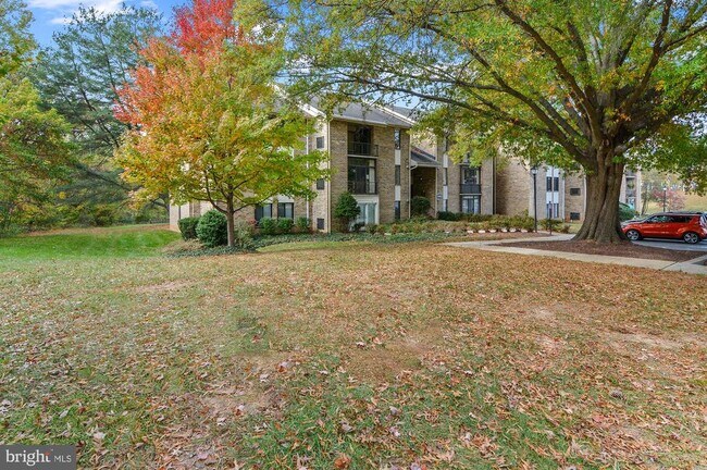 Building Photo - 5482 Cedar Ln