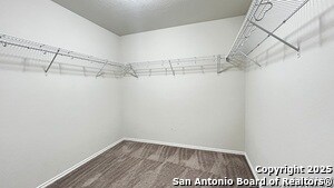 Building Photo - 1619 Crown Daisy