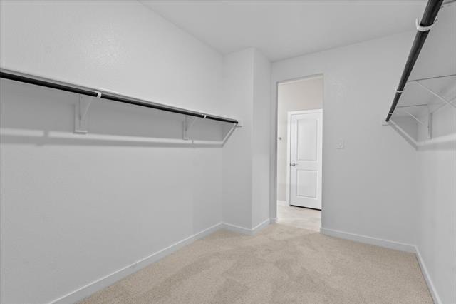 Building Photo - 1312 Old Stead Dr