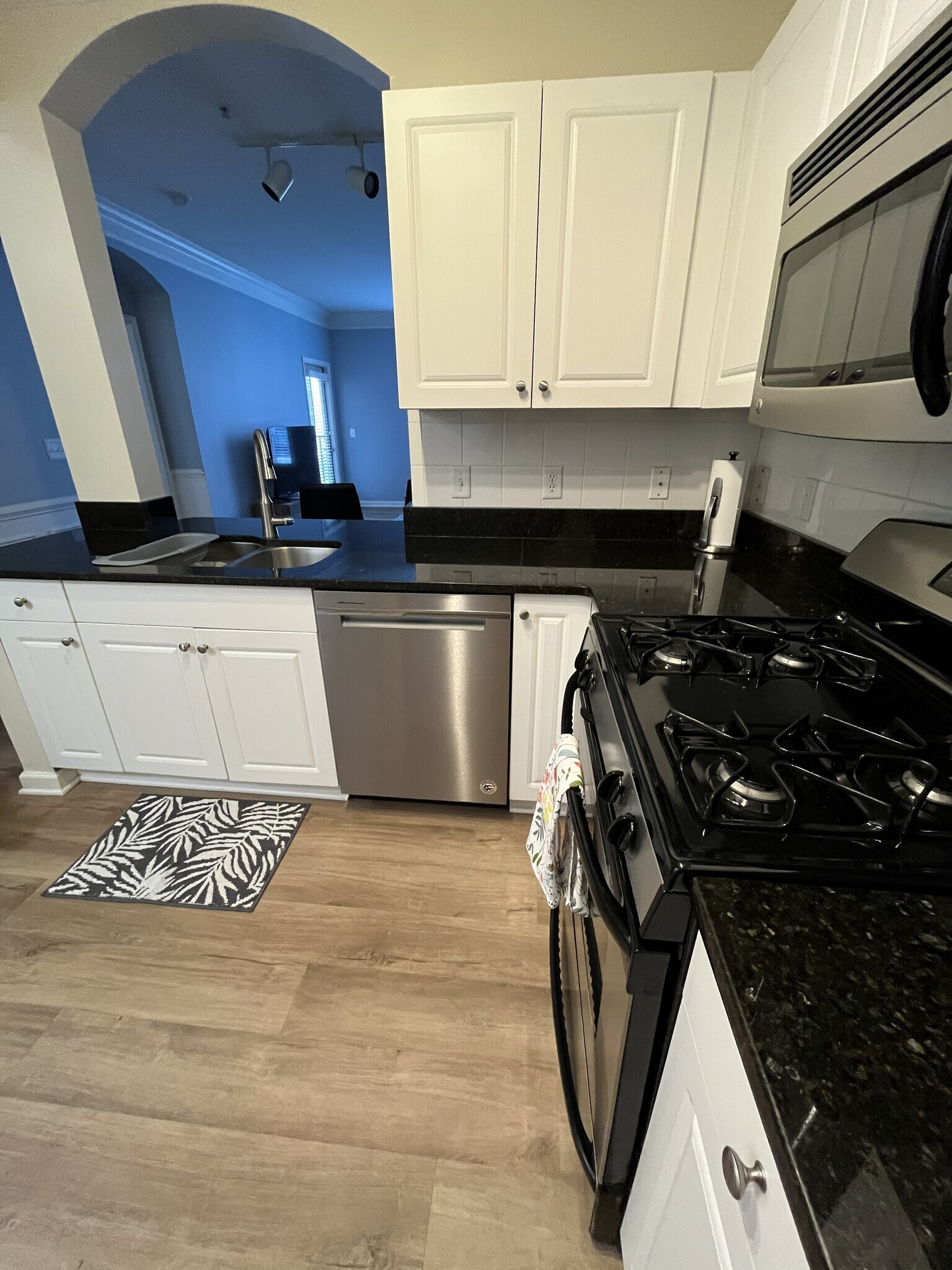 Kitchen view - 27 Booth St