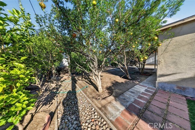Building Photo - 11407 Delano St