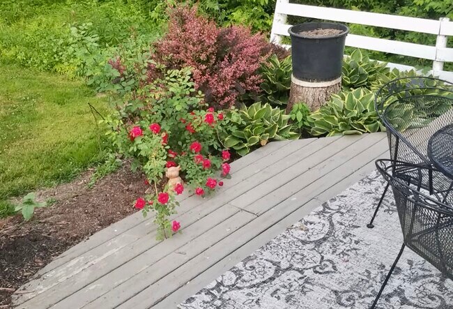 Building Photo - 14242 Hein Ln