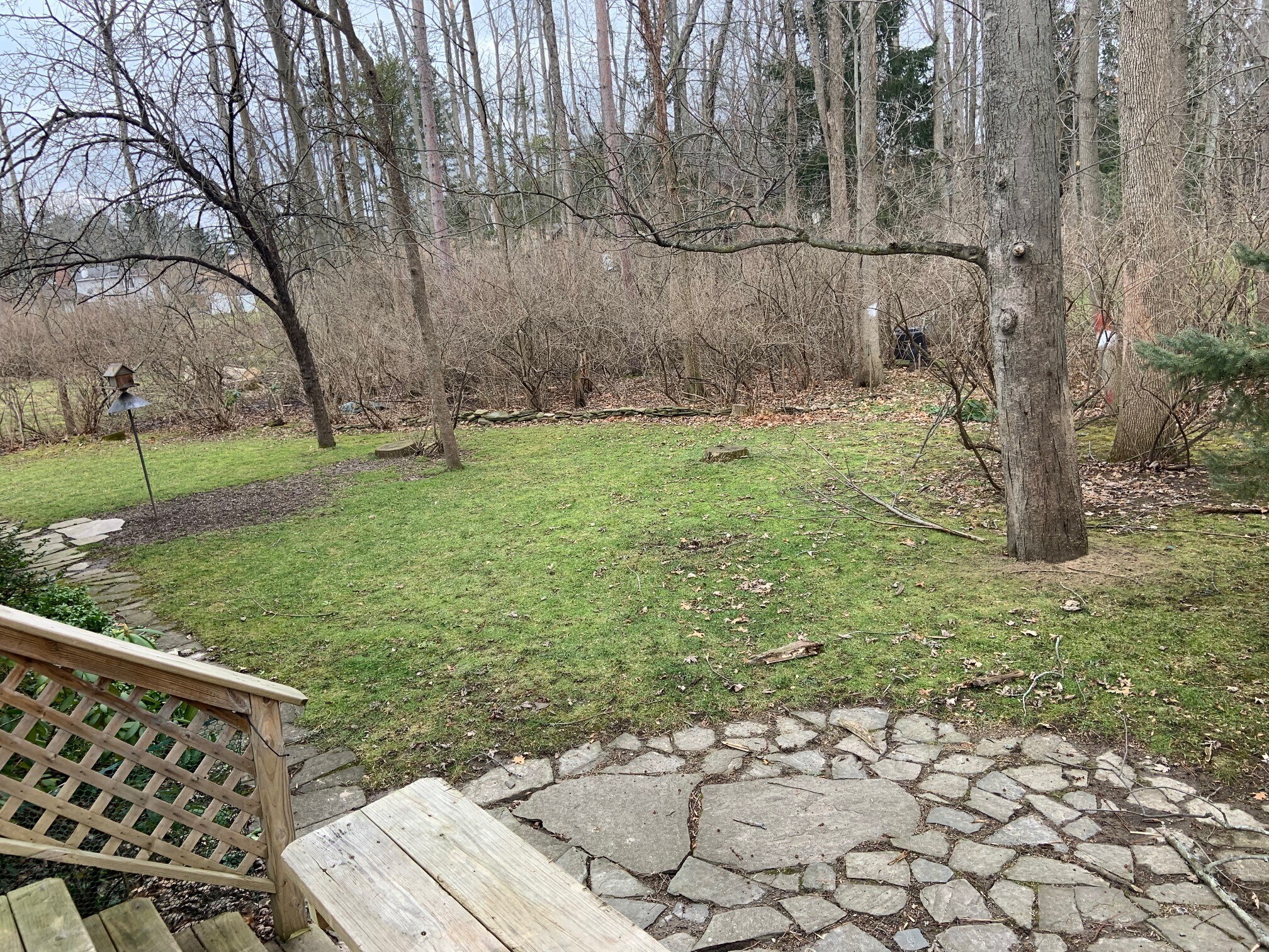 Backyard - 70 Twilight Ln