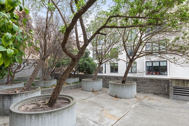 Building Photo - Russian Hill Studio with Expansive Private Balcony, Dedicated Parking + Exceptional Storage