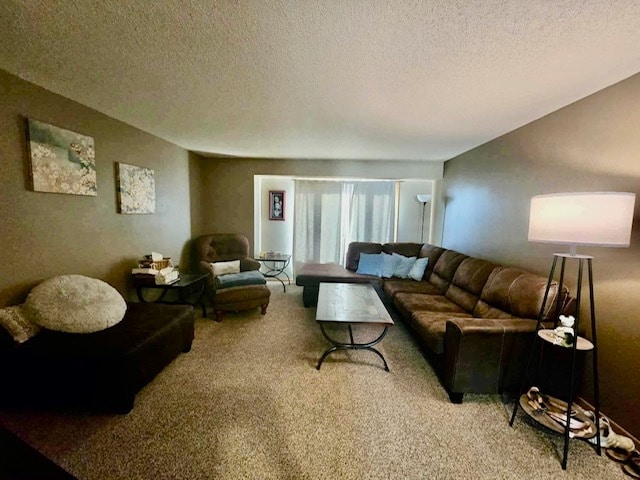 Spacious Living Room w/coat closet - 509 N 1st St