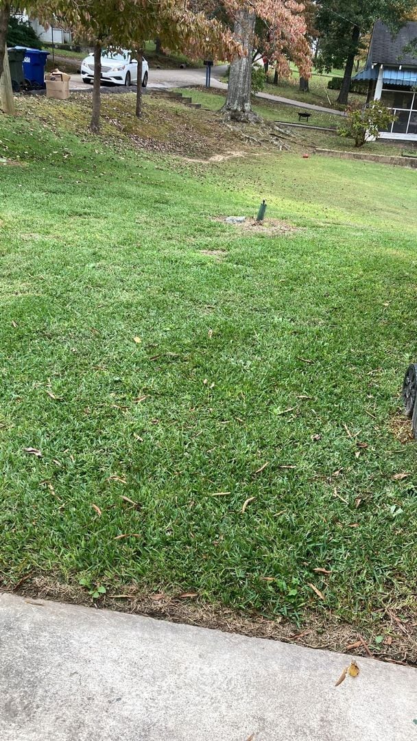 Building Photo - 305 Dogwood Ave