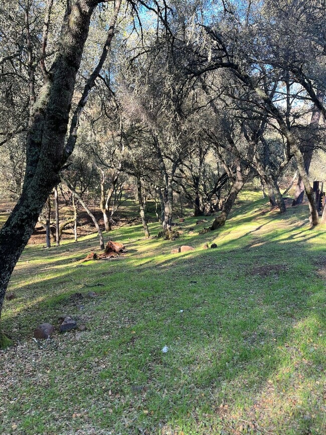 Building Photo - 5280 Old French Town Rd