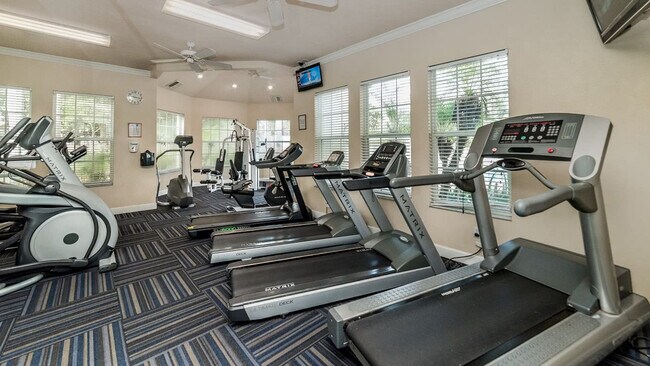Building Photo - 8150 Fan Palm Way