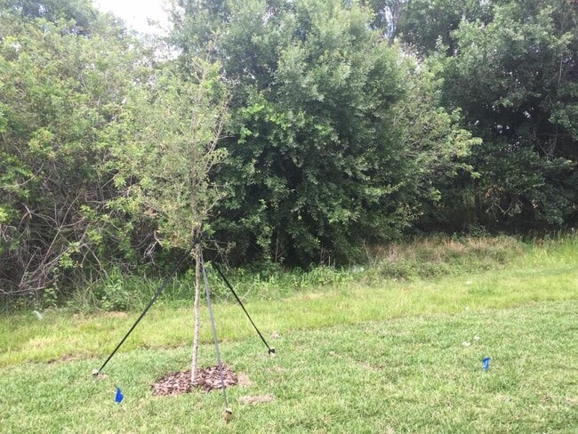 Building Photo - 9618 Pembrooke Pines Dr