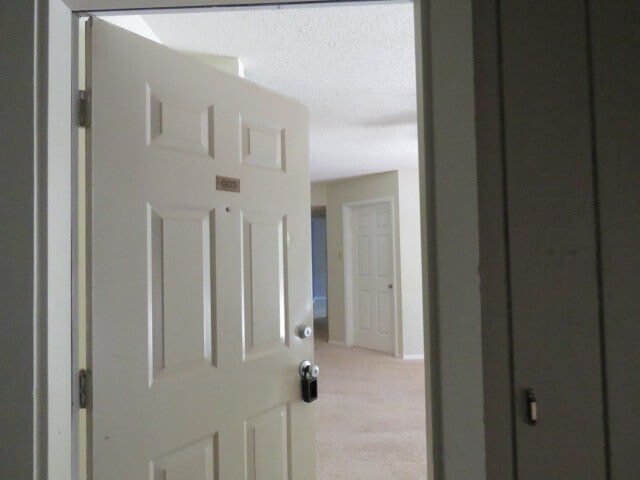 Primary Photo - 3803 Chimney Ridge Pl