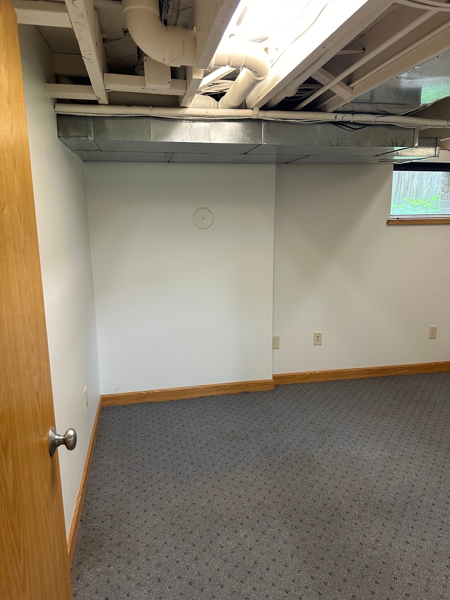 Basement Rec Room 1 - 524 W Shore Dr