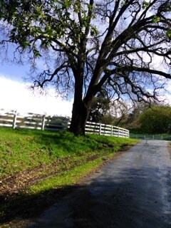 Building Photo - 5770 Croy Rd