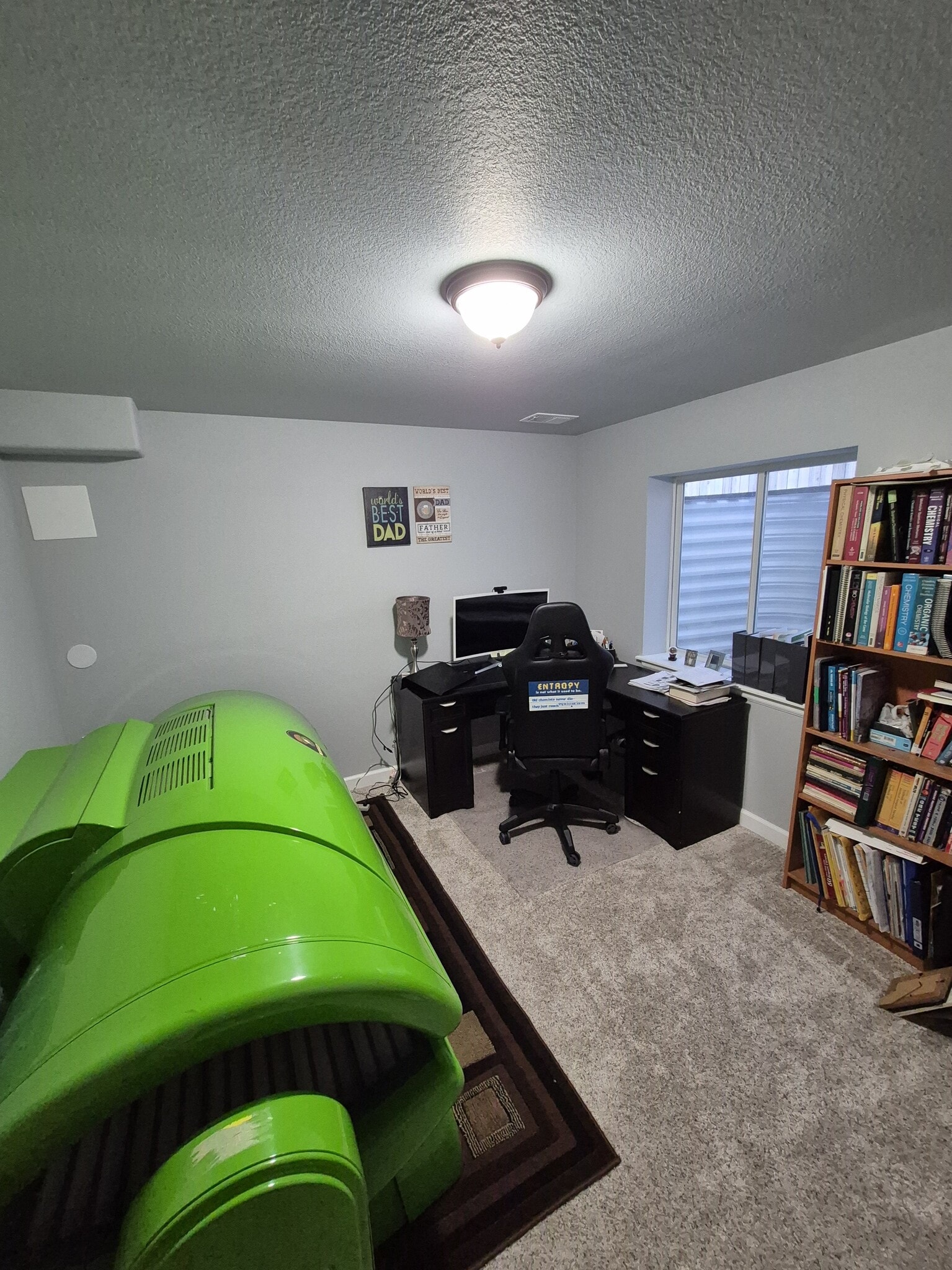 Bedroom 5 - basement - 4441 S Johnson Ct