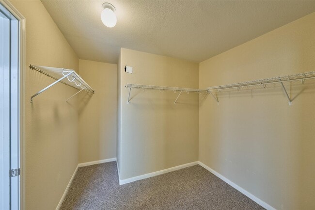 Building Photo - 3022 Swift Brook Glen Way