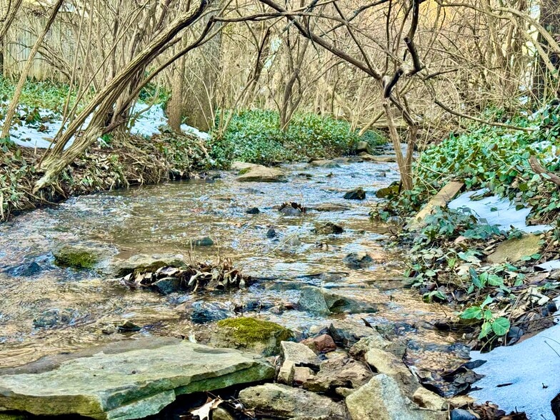 Building Photo - 111 Stratford Ct