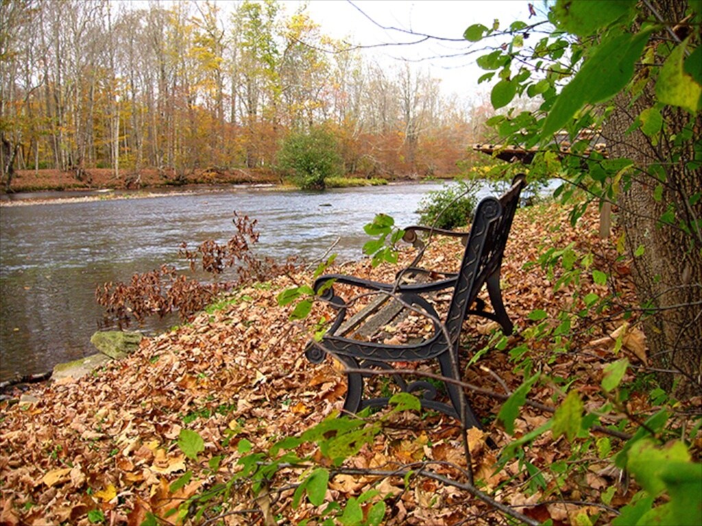 Rivers edge - 6201 NY-42