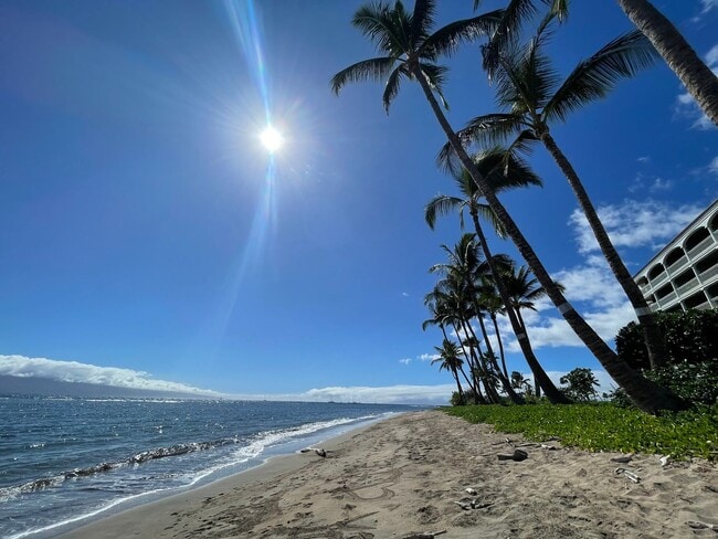 Building Photo - Lahaina Shores Furnished Studio Available Now!