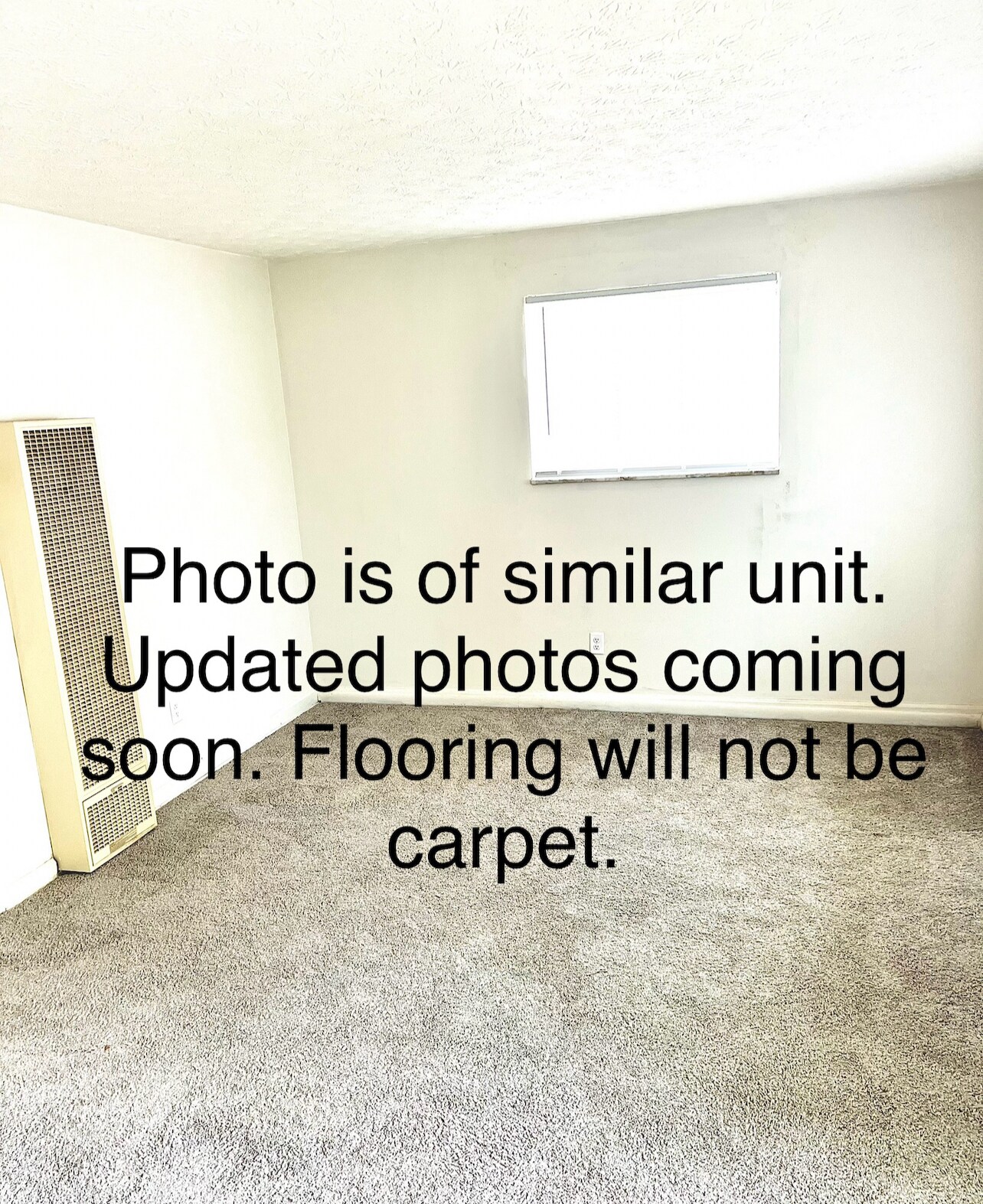 Living room. Will not have carpet. - 1971 Vaughn St