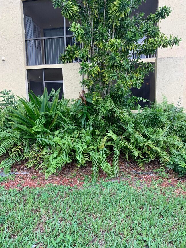 Building Photo - 2015 Coral Ridge Dr