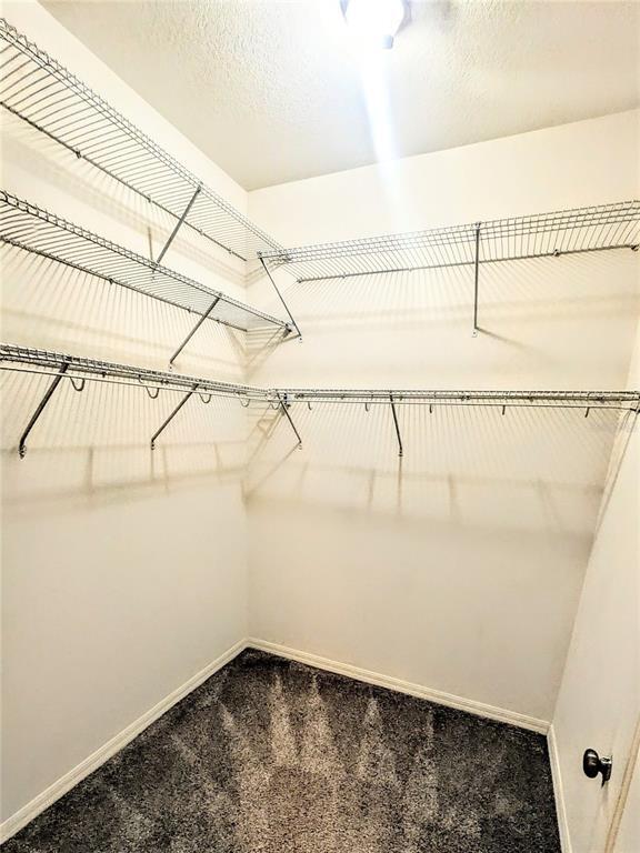 Building Photo - 3711 Parkridge Cir