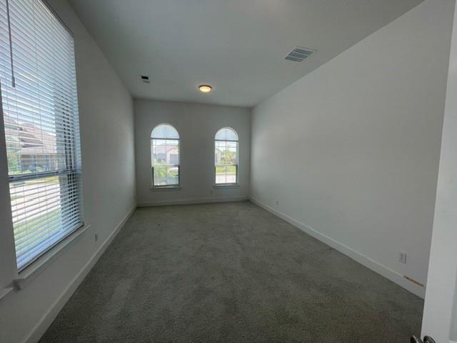Building Photo - 4317 Sanctuary Dr