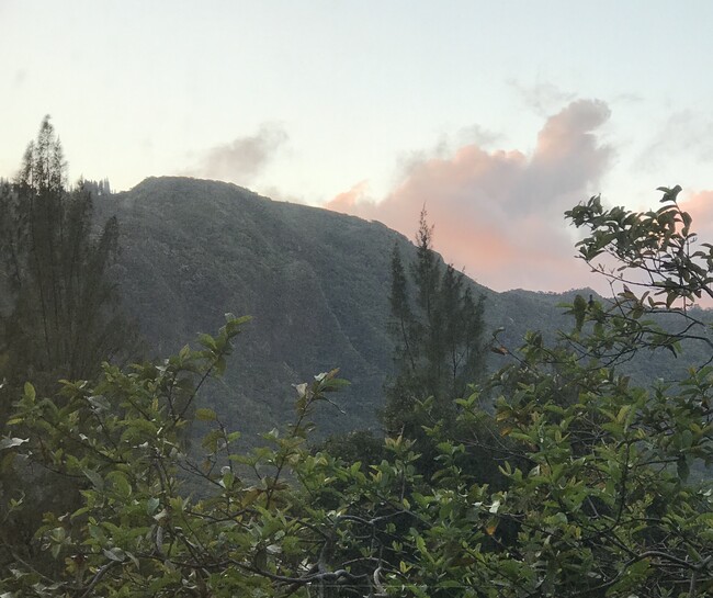 Sunrise in Manoa Valley - 3321 Anoai Pl