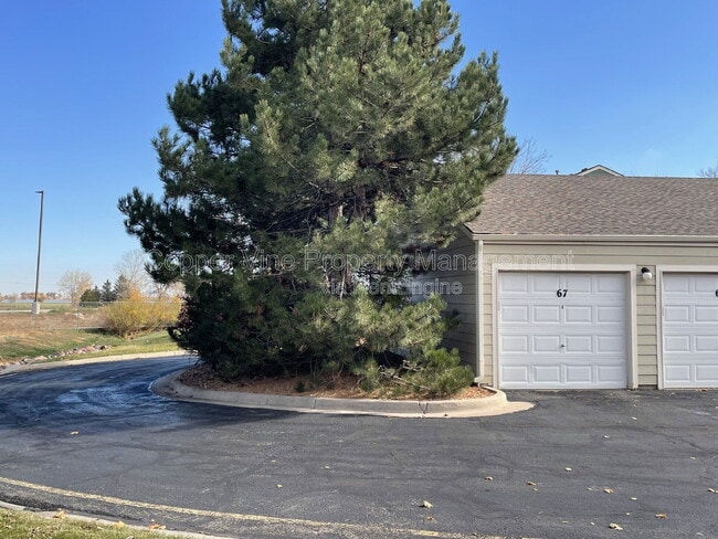 Building Photo - 930 Button Rock Dr