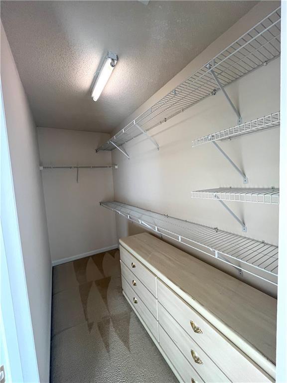 Building Photo - 5305 Falling Water Terrace