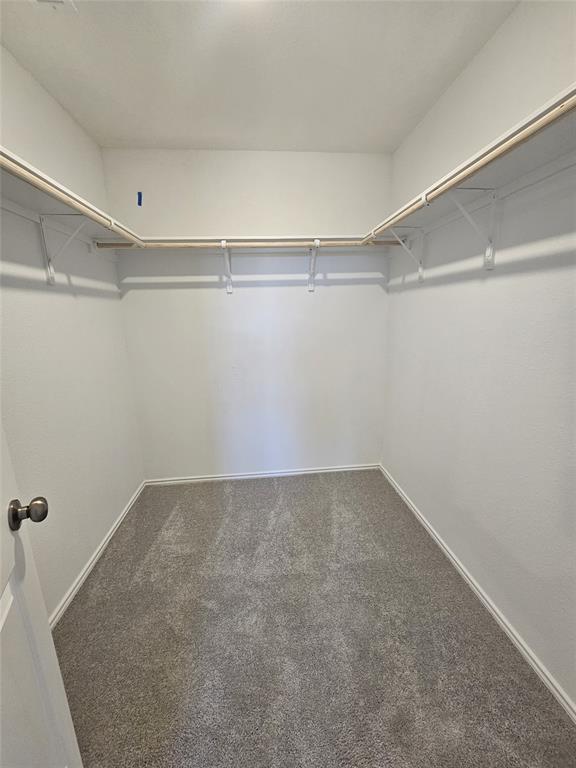 Building Photo - 2308 Blizzard Dr