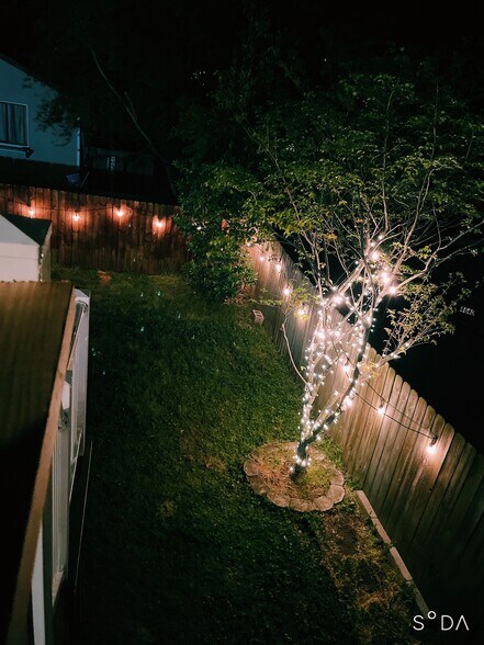 Backyard String Lights - 4644 Lake Dr