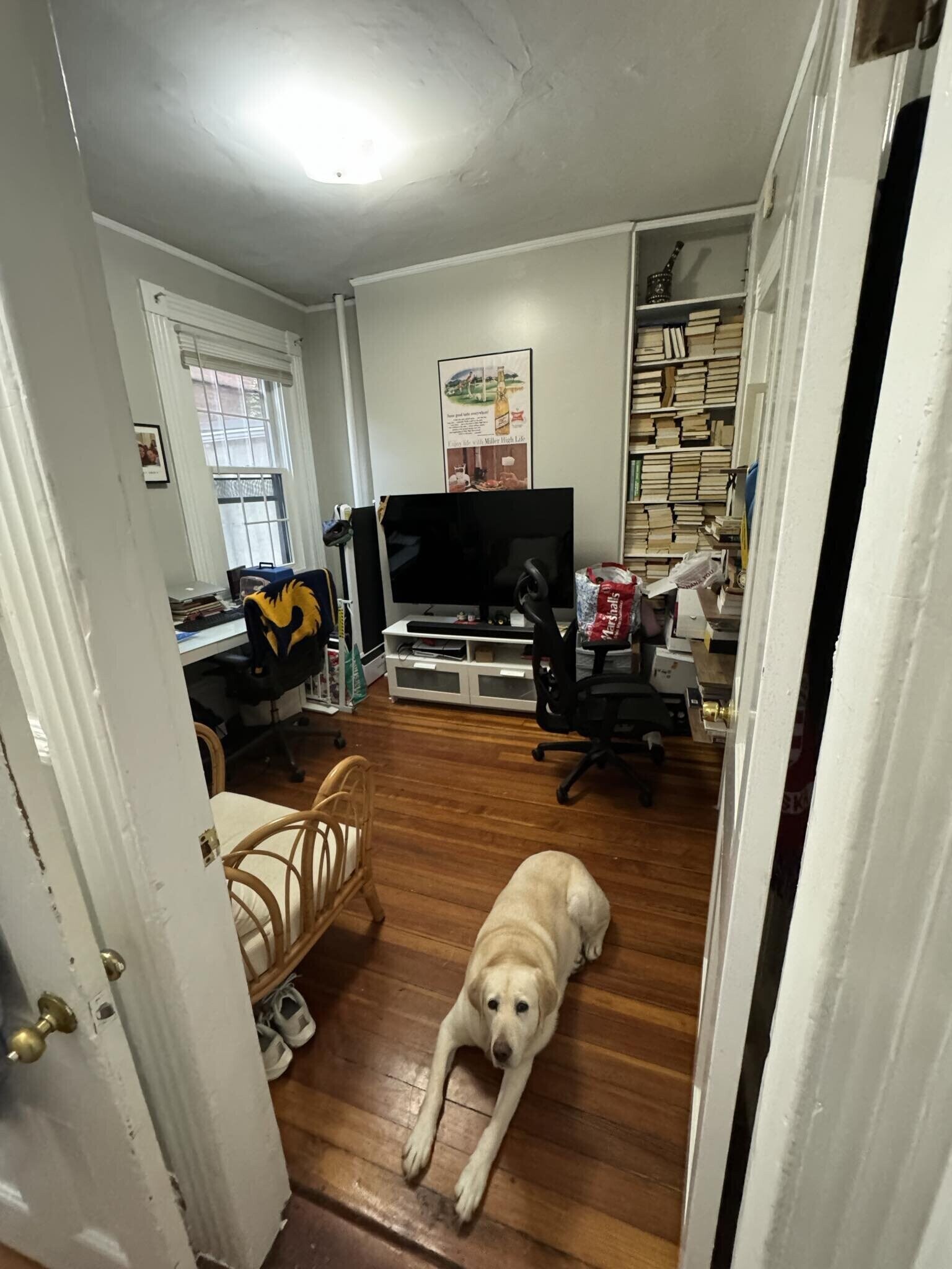 Building Photo - 2 Champney Pl
