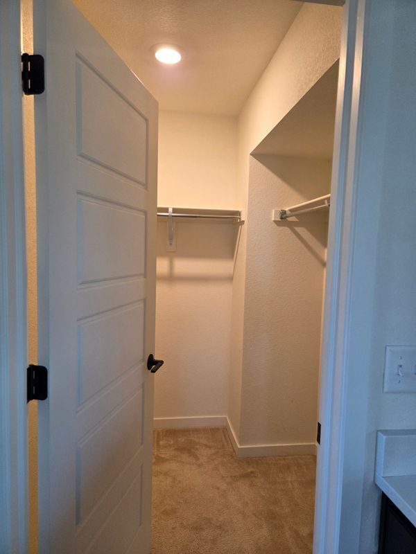 Building Photo - 3677 Pinonwood Ct
