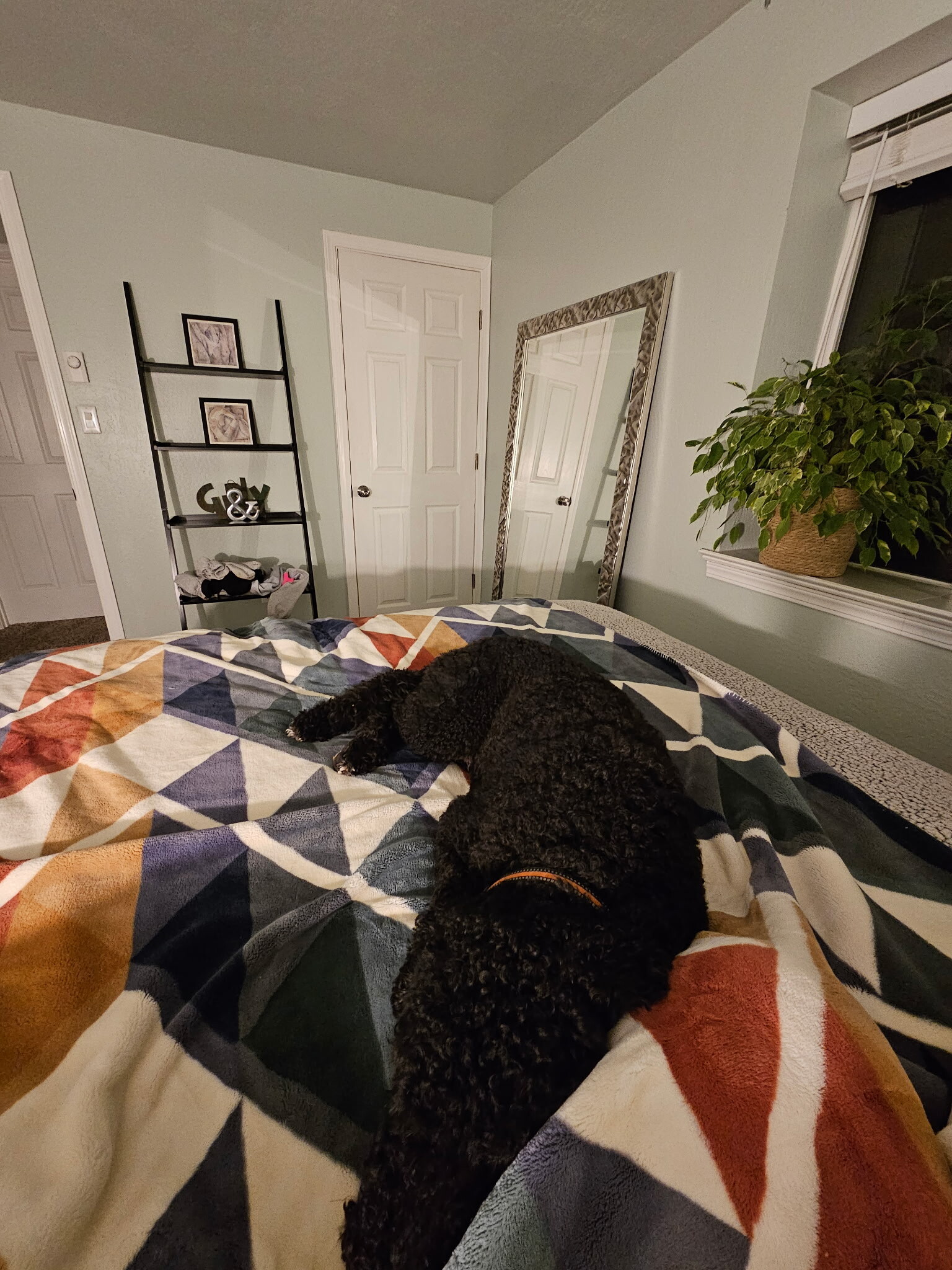 Building Photo - 1623 E Mullan Ave