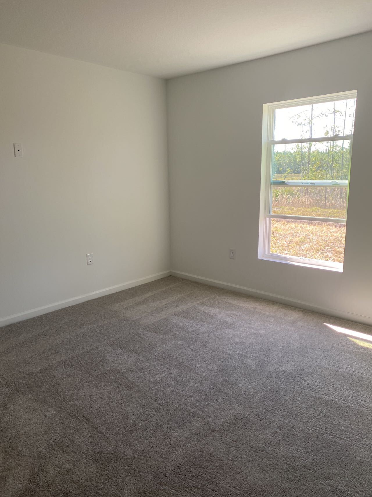 Building Photo - 1347 Belle Isle Ln