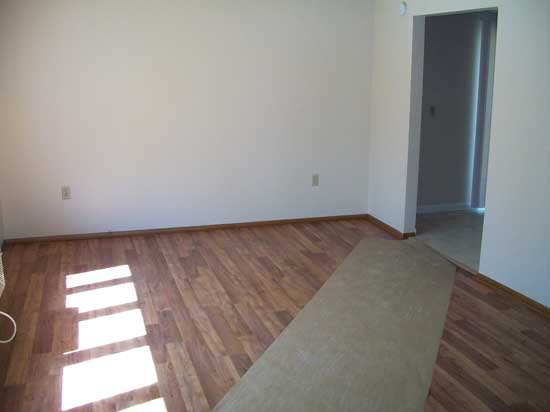 Living room bathed in sunlight. Laminate flooring. - 502 Mercer Rd