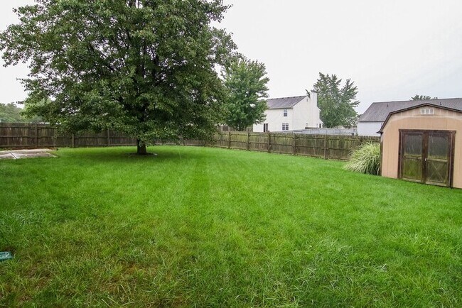 Building Photo - Newly Renovated 3 Bedroom Home in Avon Schools!