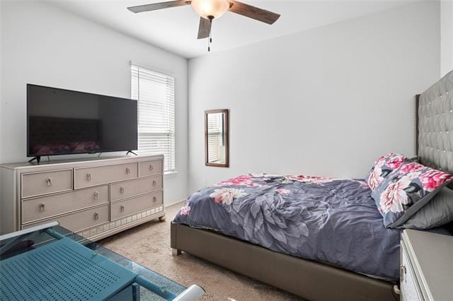 Building Photo - 517 Concho St