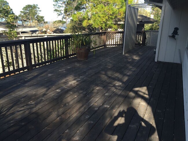 Building Photo - 1563 Sonado Rd