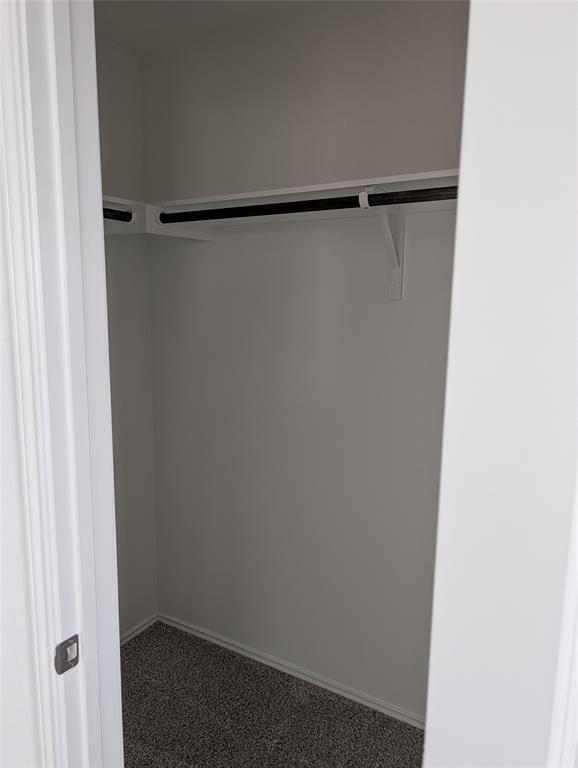 Building Photo - 100 Red Buckeye St