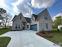 Building Photo - Beautiful home In Ascension!