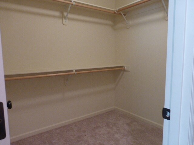 Building Photo - Bethany Town Home Available