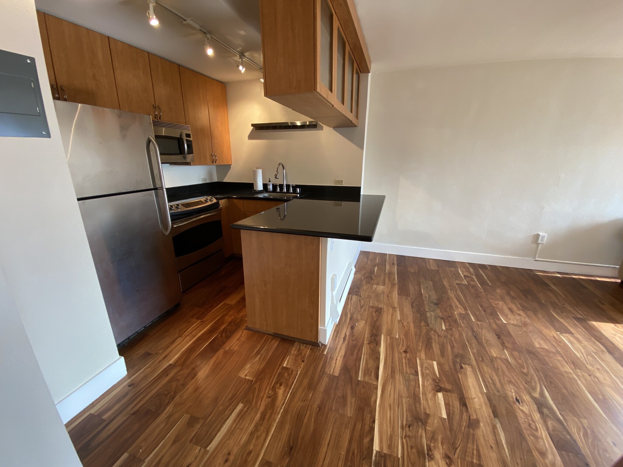 Granite counter and stainless appliances - 1105 Spring St