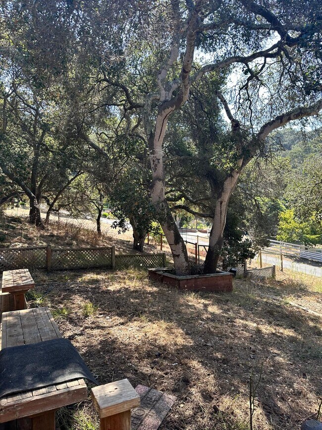 Building Photo - 2431 Rifle Range Dr