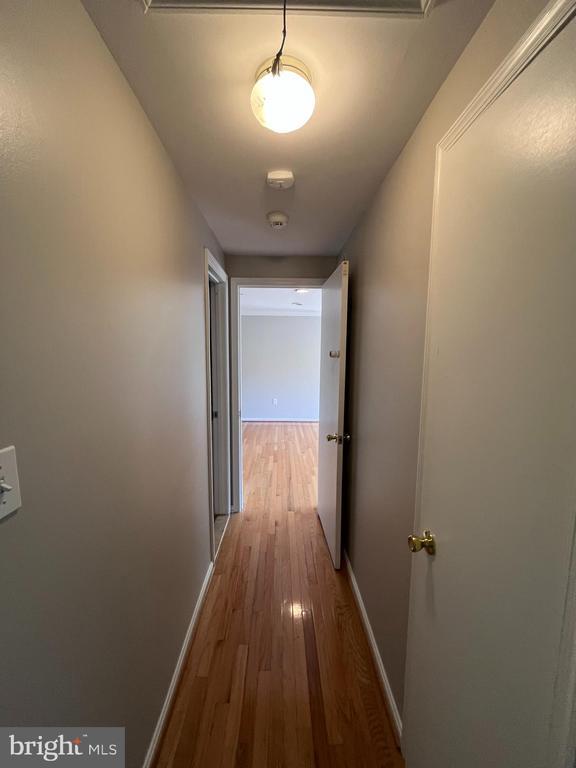 Building Photo - 6516 Cape Ct