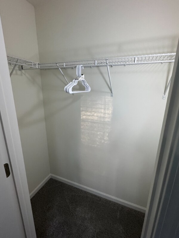 Building Photo - 533 Gantt St