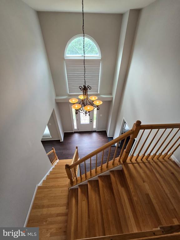 Primary Photo - 20306 Baymeadow Ct