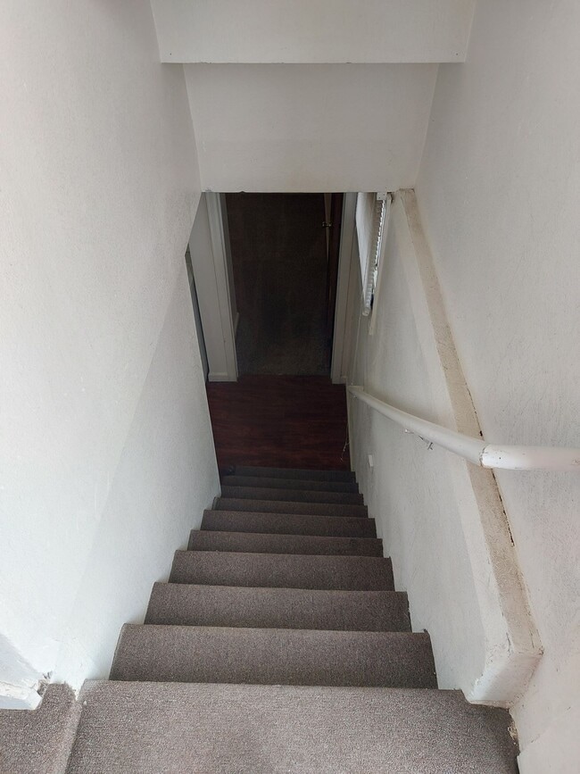 Building Photo - College Housing - 4 bedrooms