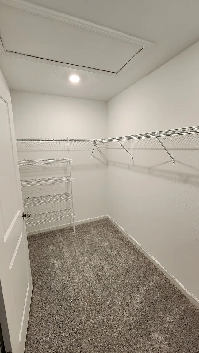 Building Photo - 4386 Leeward Breeze Lp