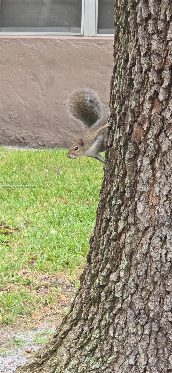 Building Photo - 1200 NW 87th Ave