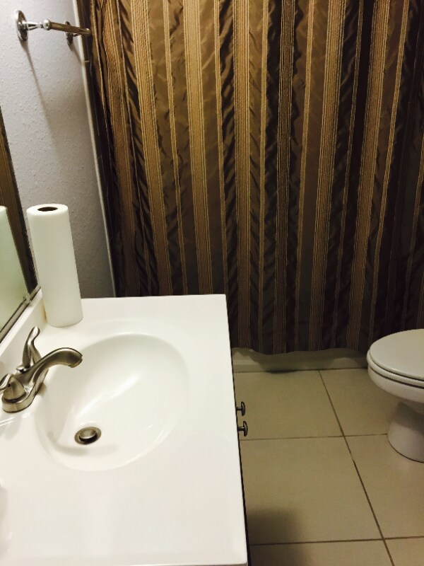 Building Photo - 1952 Laughing Gull Ln